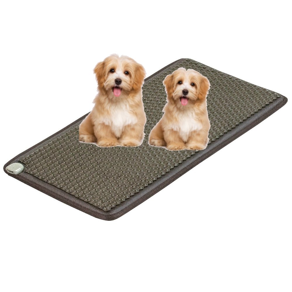 mats for dogs